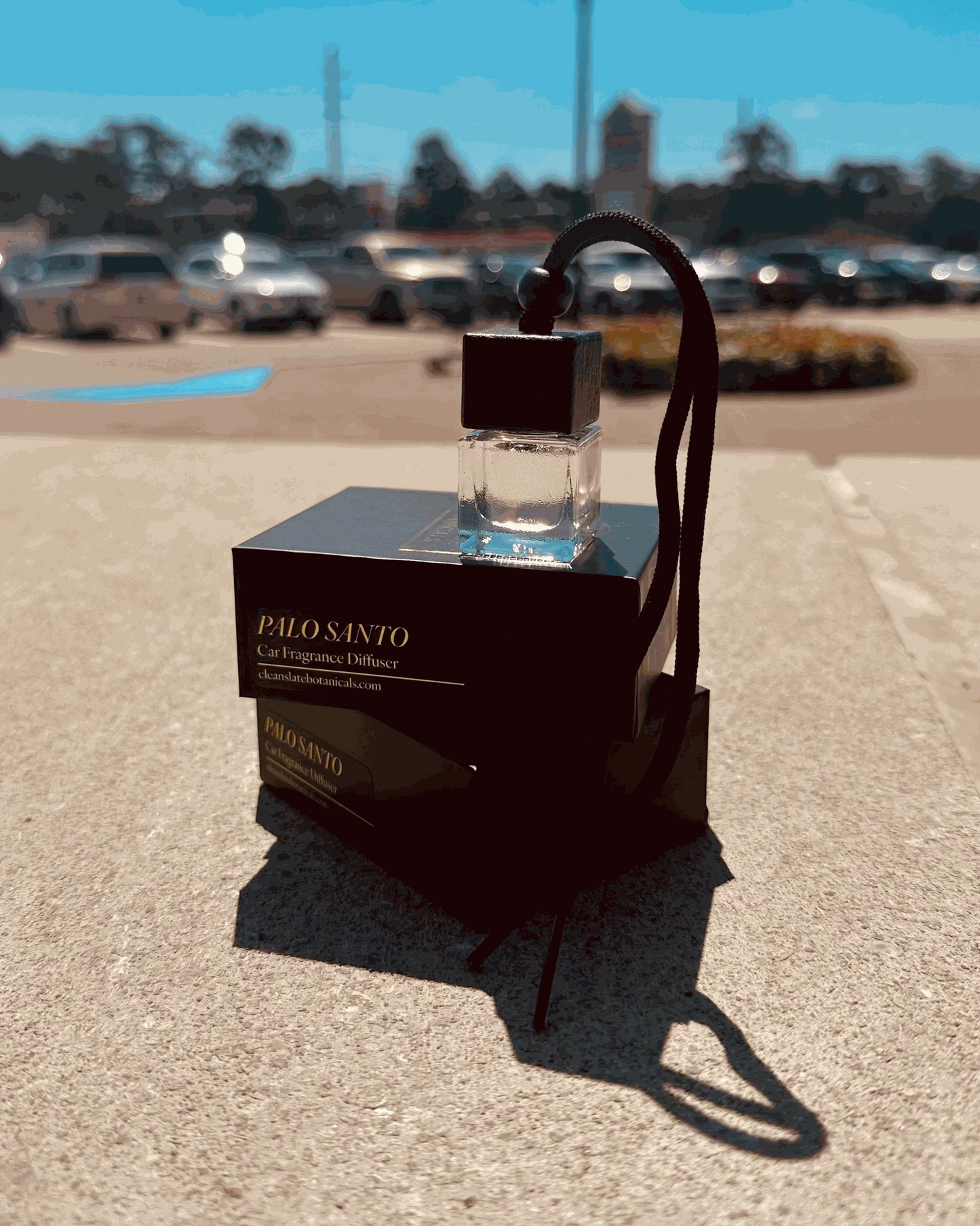 Palo Santo Car Diffuser in a clear glass bottle with a dark wooden cap and hanging cord, shown with its black box